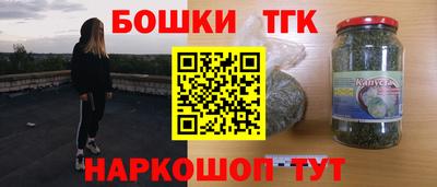 дурь Сланцы