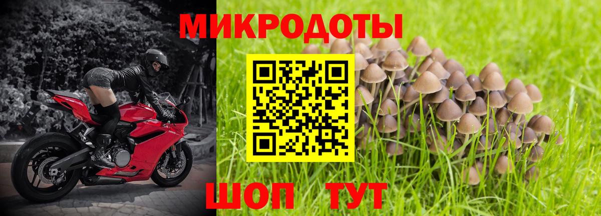 Псилоцибиновые грибы Psilocybine cubensis  Галлюциногенные грибы ЛСД  Вход с VPN  Норильск 